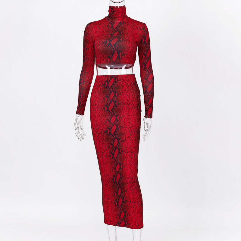 Leopard Printed Crop Top and Long Skirt Set