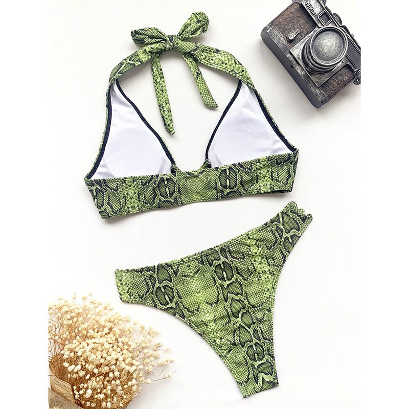 Snake Print Bikini Cut Out Swimsuit